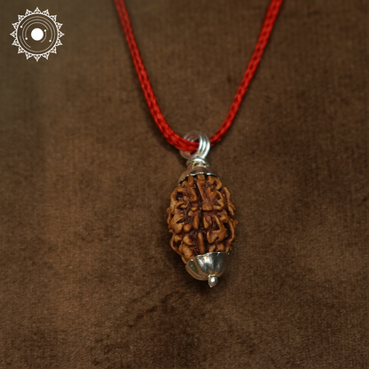 3 Mukhi Rudraksha