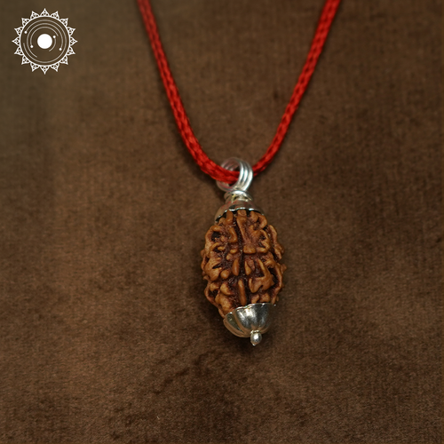 3 Mukhi Rudraksha