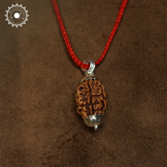 3 Mukhi Rudraksha
