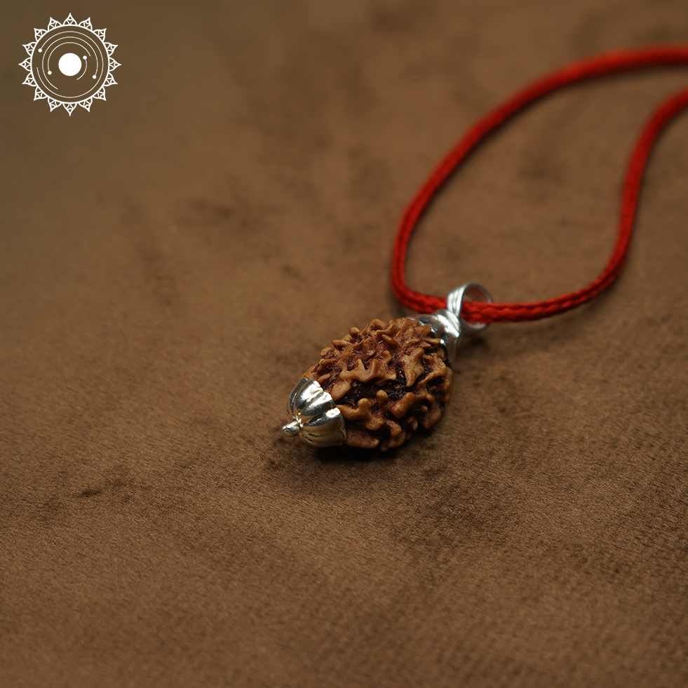 3 Mukhi Rudraksha