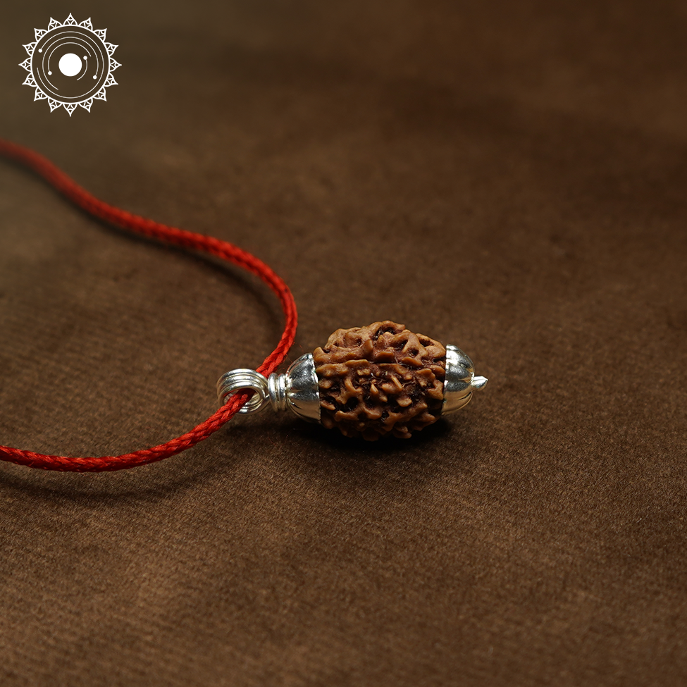 3 Mukhi Rudraksha
