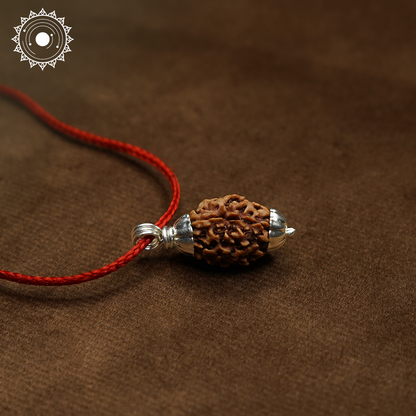 3 Mukhi Rudraksha