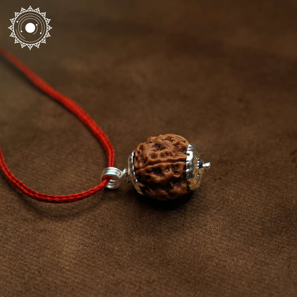 4 Mukhi Rudraksha