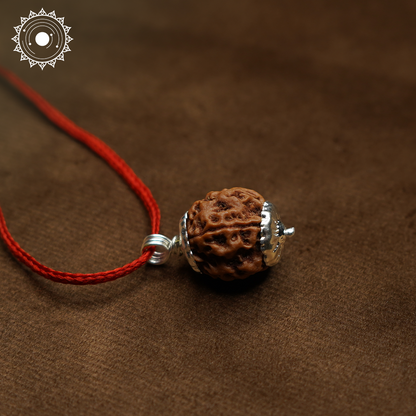 4 Mukhi Rudraksha