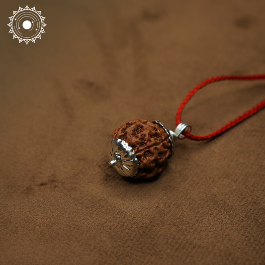 4 Mukhi Rudraksha