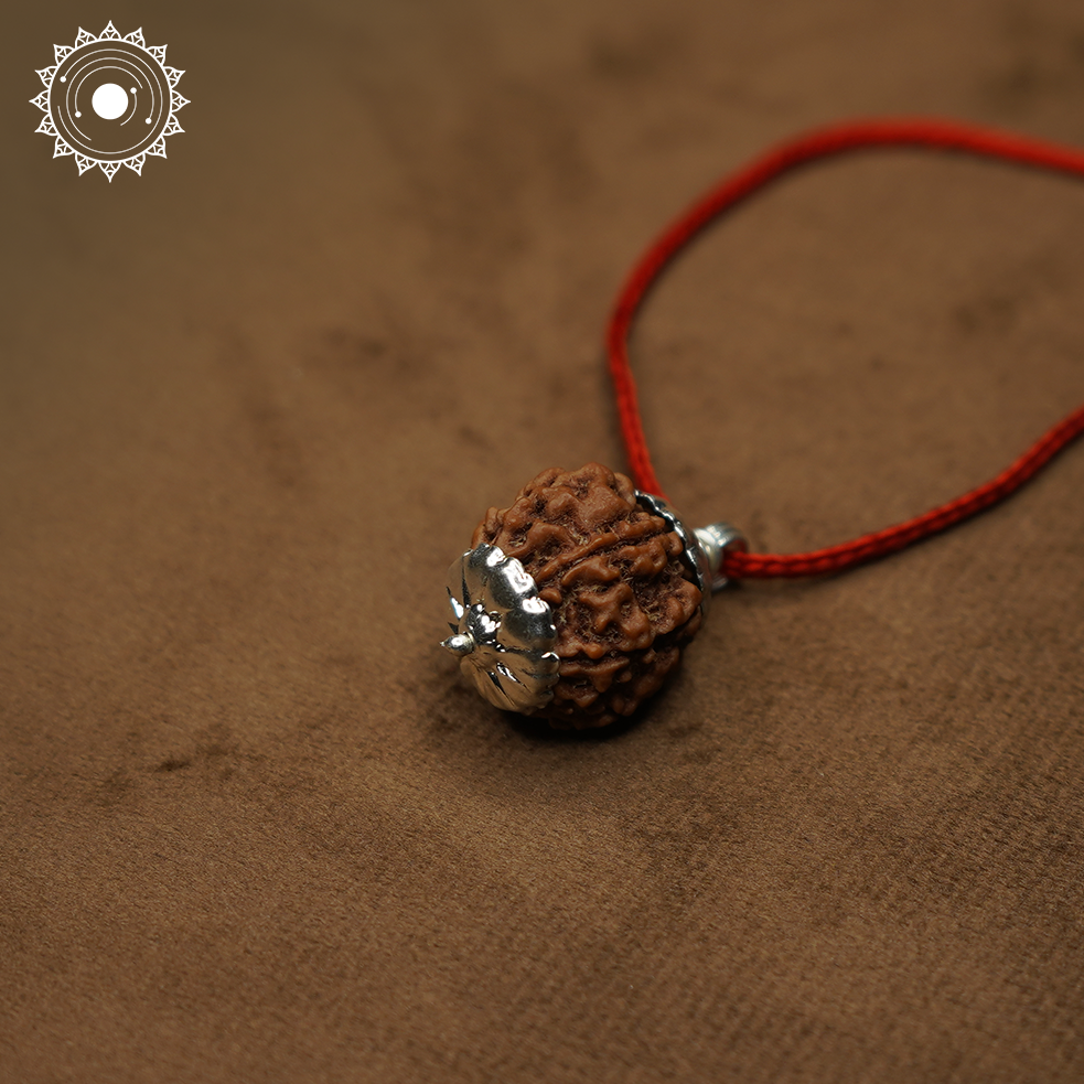 5 Mukhi Rudraksha