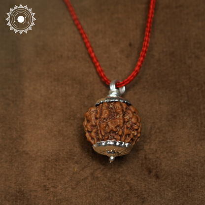 5 Mukhi Rudraksha