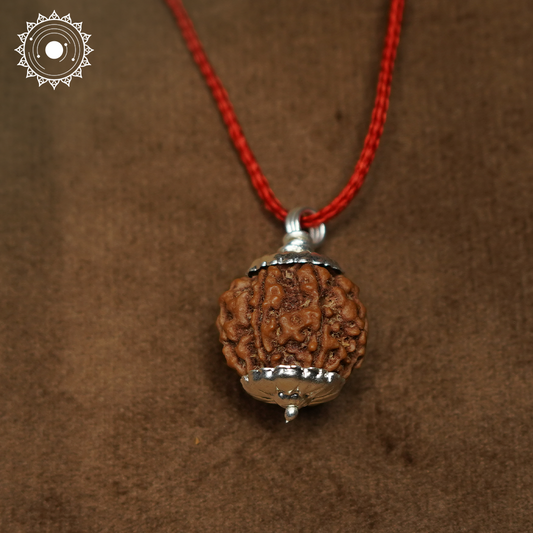 5 Mukhi Rudraksha