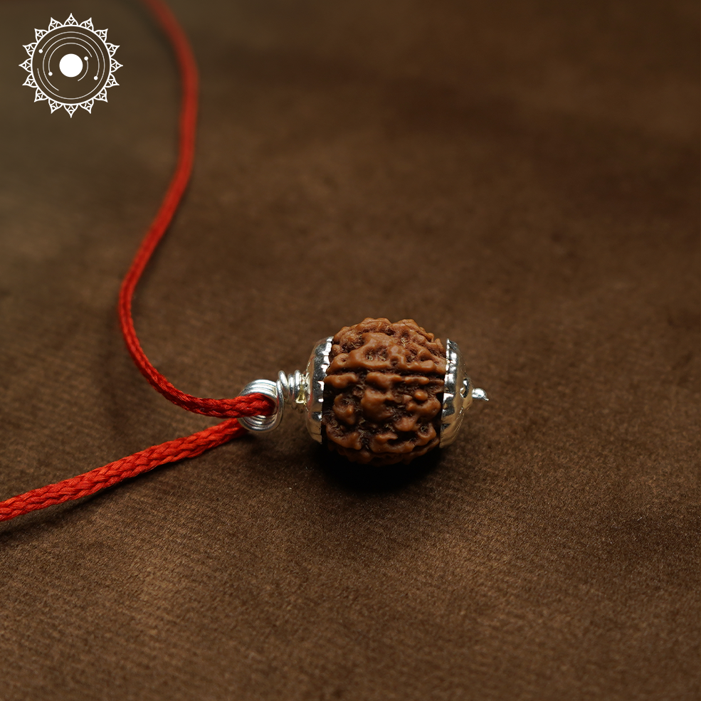 5 Mukhi Rudraksha