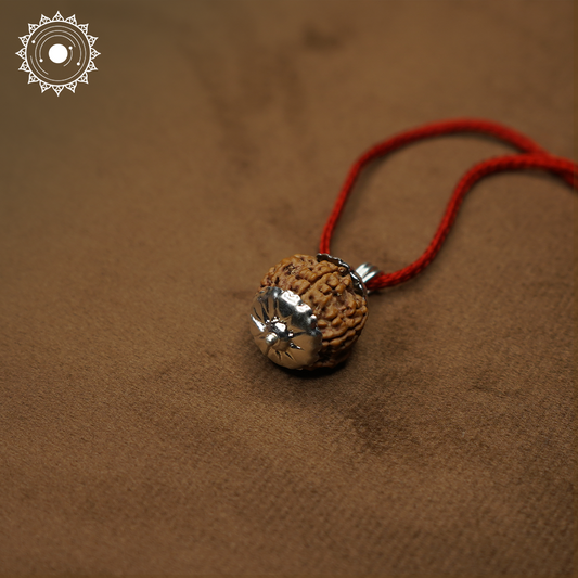 6 Mukhi Rudraksha