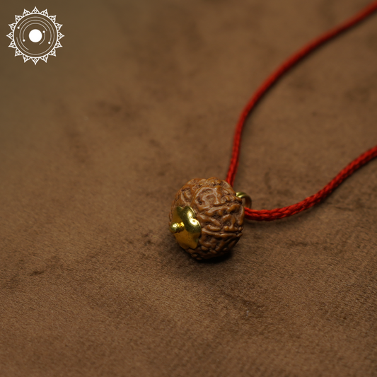 8 Mukhi Rudraksha