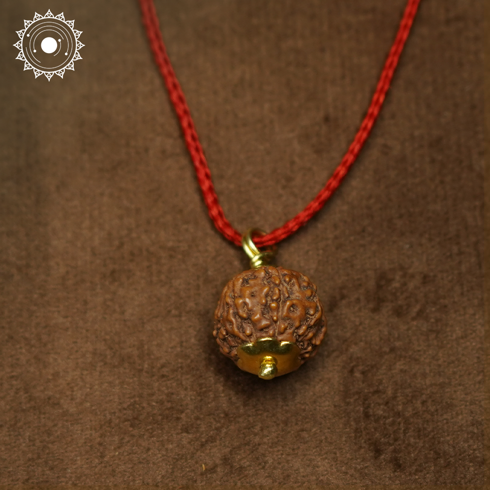 8 Mukhi Rudraksha