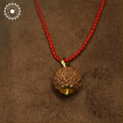 8 Mukhi Rudraksha