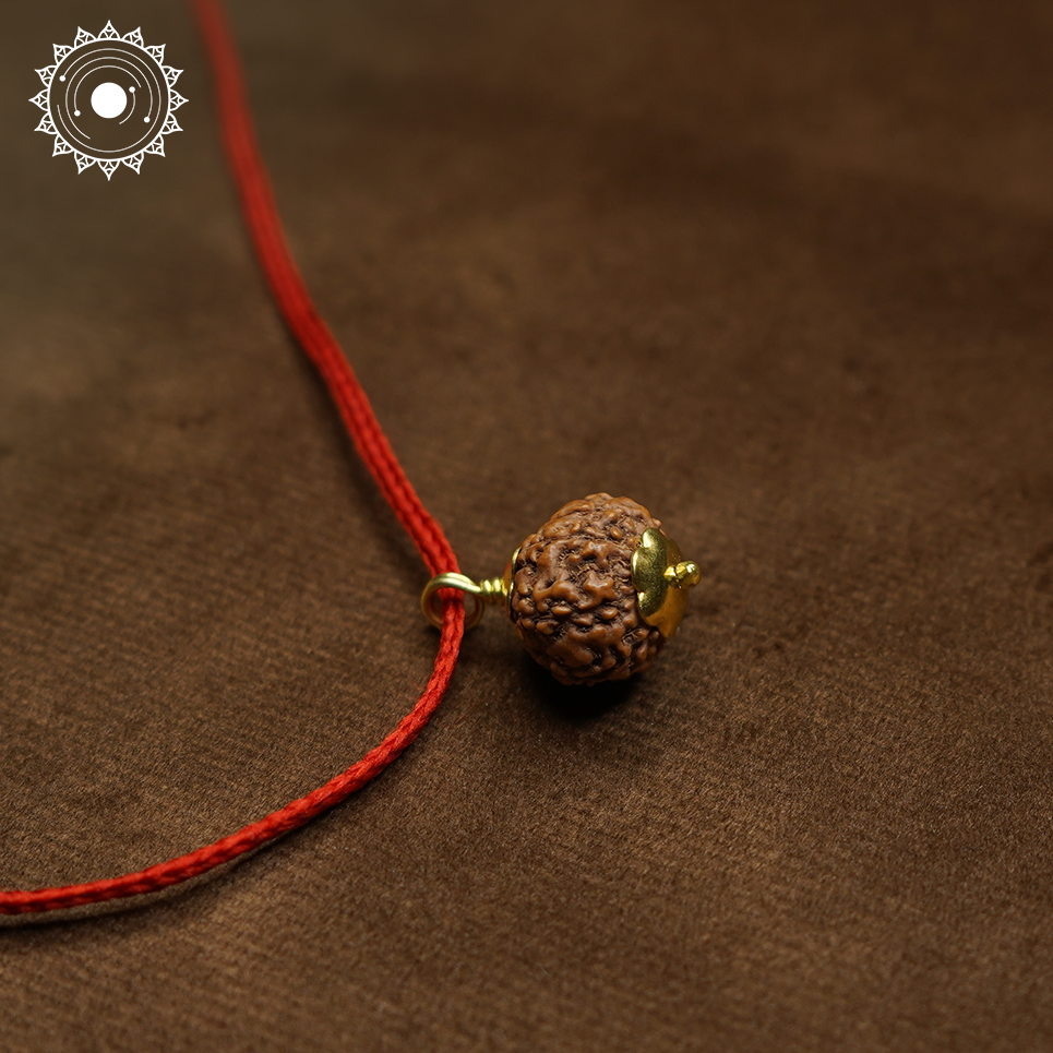 8 Mukhi Rudraksha