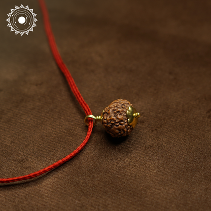 8 Mukhi Rudraksha