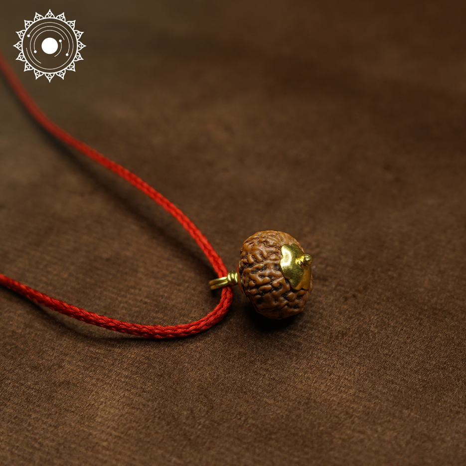 9 Mukhi Rudraksha