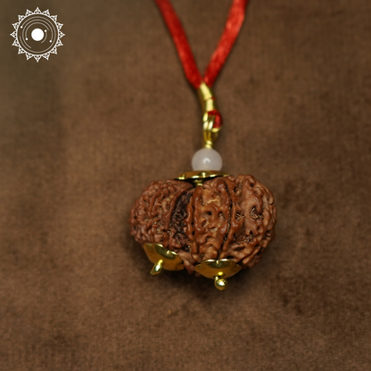 Gauri Shankar Rudraksha