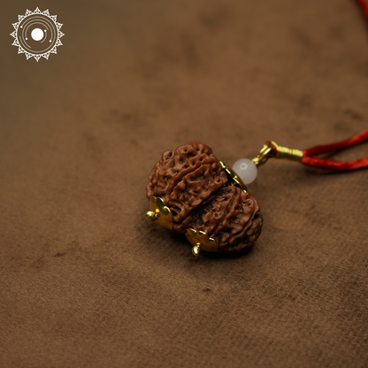 Gauri Shankar Rudraksha