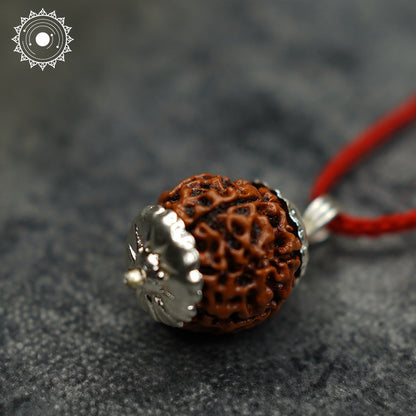 7 Mukhi Rudraksha