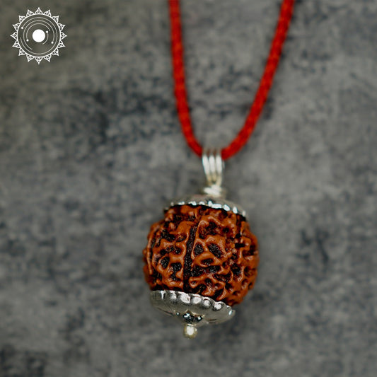 7 Mukhi Rudraksha